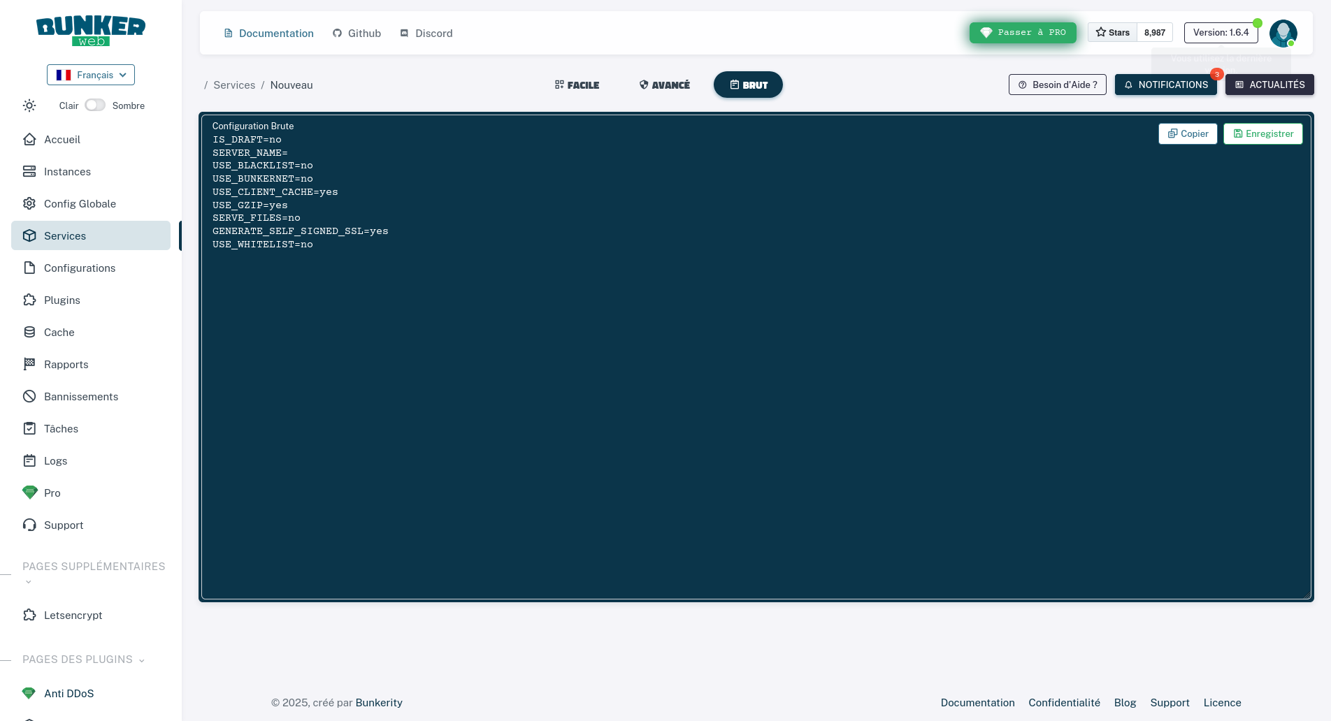 Interface web — création de service (mode brut)