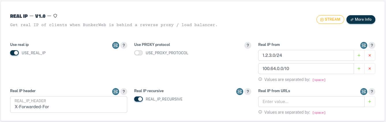 Real IP settings (header) using web UI